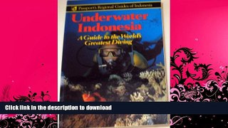 READ  Underwater Indonesia: A Guide to the World s Greatest Diving (Passport s Regional Guides of
