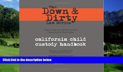 Big Deals  The Down   Dirty Law Series: California Child Custody Handbook  Best Seller Books Most