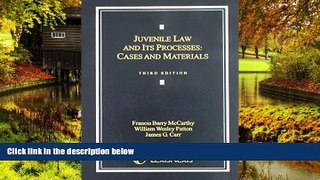 Must Have  Juvenile Law and Its Processes: Cases and Materials  Premium PDF Online Audiobook
