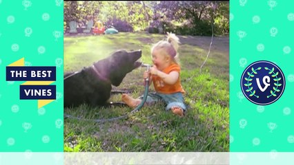 Best Fails Vines Compilation _ Top Fail Vines May 2016