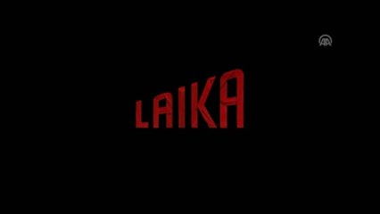 Sinema - "Kubo ve Sihirli Telleri"