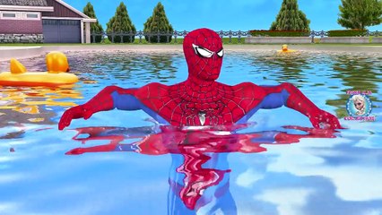 Pink Spider Girl Frozen Elsa Playing In Swimming Pool | Spiderman And Hulk Vs Joker Prank For Kids