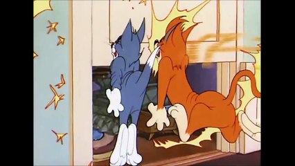 Tom And Jerry, 48 E - Saturday Evening Puss (1950)