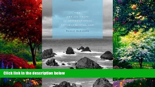 Big Deals  The Art and Craft of International Environmental Law  Best Seller Books Most Wanted