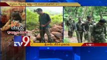 AOB encounter - Death toll rises to 30 - TV9