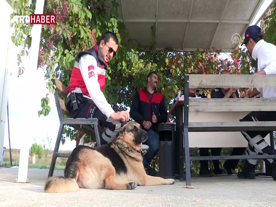 Hava ambulans ekibinin zamanla yarışı