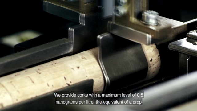 AMORIM - TROPHEE D'OR - VINITECH-SIFEL 2106