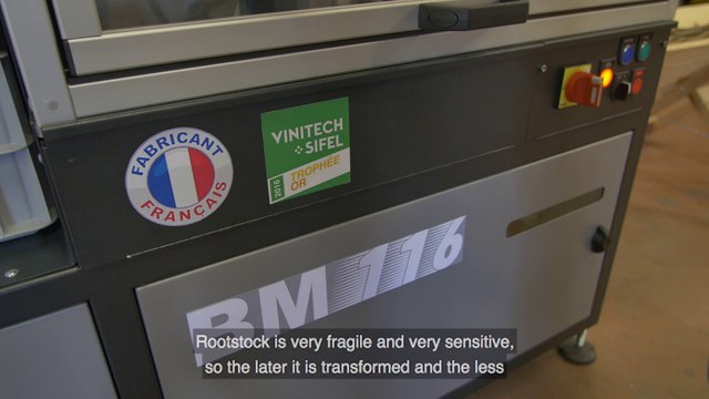 BM EMBALLAGE - TROPHEE D'OR - VINITECH-SIFEL 2106