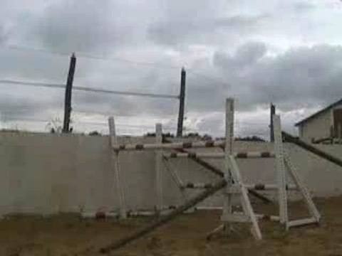 Jument AA 3ans CSO/CCE