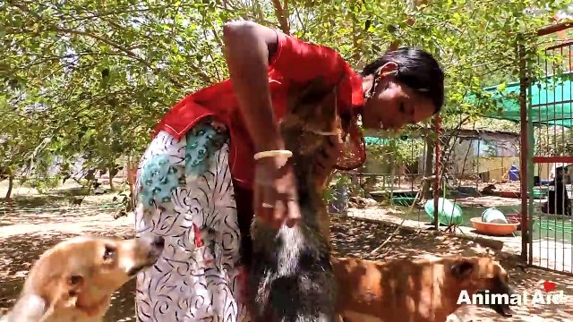 Watch what it takes! A tribute to the loving caregivers