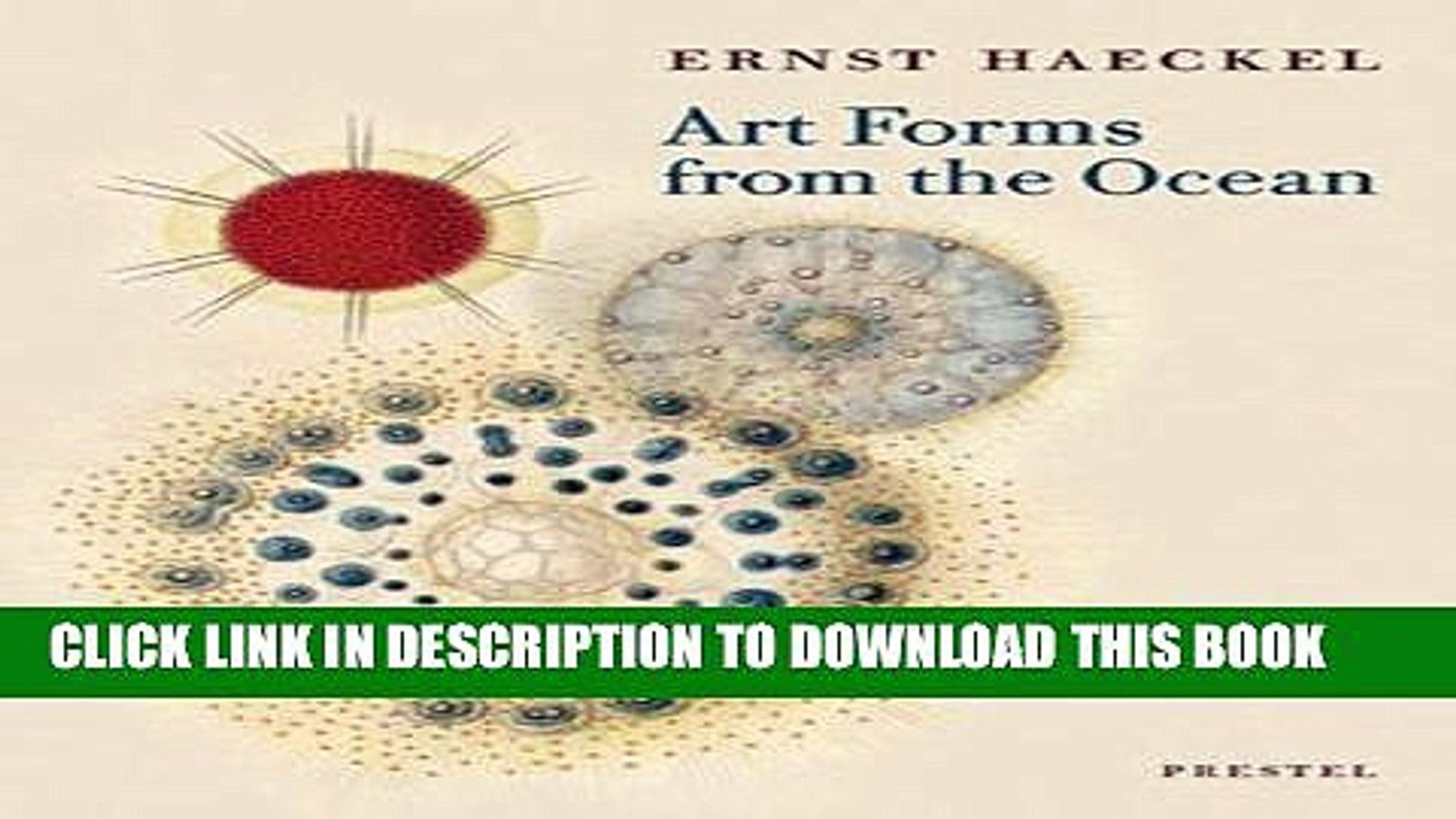 Read Now Art Forms From The Ocean The Radiolarian Prints Of Ernst Haeckel Pdf Online Video Dailymotion
