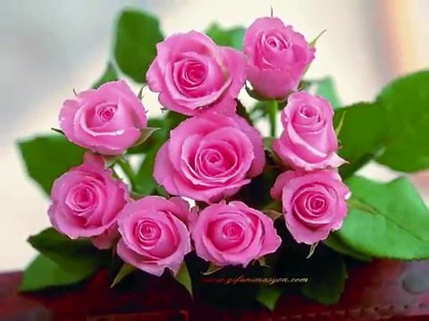 seslisalkim.com Aydın Öztürk Bela Çiçeğim