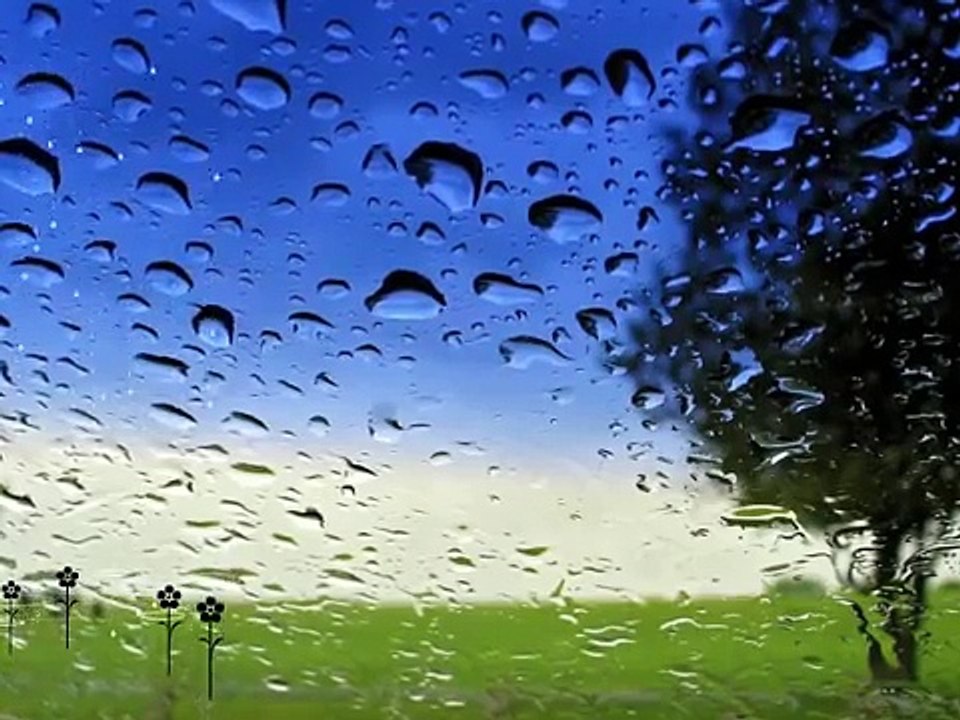 seslisalkim.com Aydın Öztürk Yağmurla Gelsen