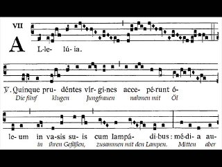 Alleluia Quinque prudentes, Dominica XXXII TpA (32 TO)