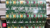 Fabrication des yaourts aux fruits Danone à la laiterie de Villecomtal sur arros