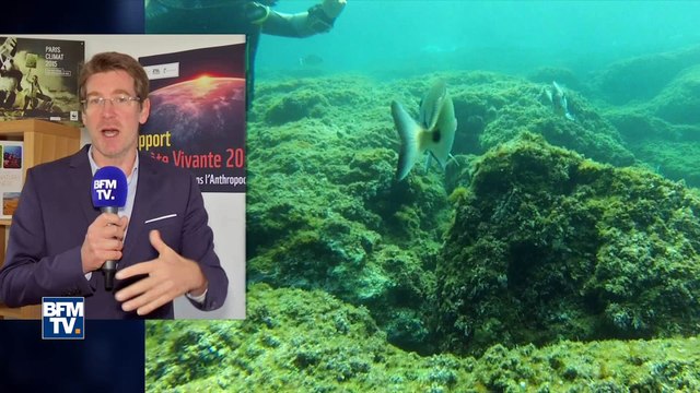 Réduire d'une fois par semaine sa consommation de viande aurait un impact considérable