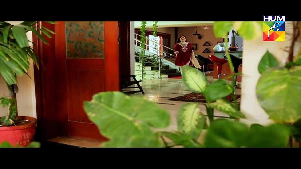 Hatheli Episode 5 Full HD HUM TV Drama 17 October 2016