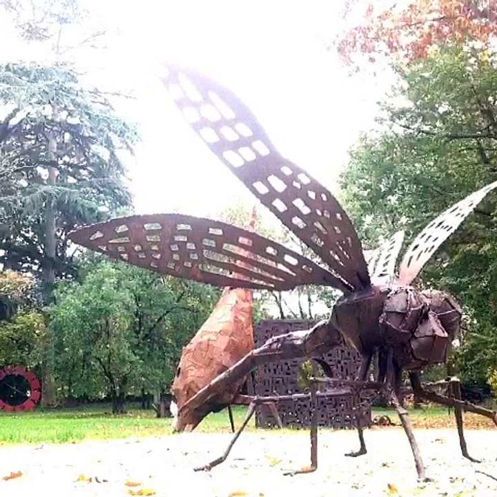 Dragonfly with fly.