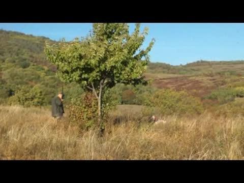 Concours St Hubert 2016 Ã la Roche Blanche