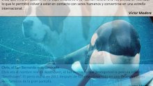 Los 5 animales más famosos by Victor Madera