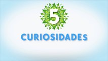Curiosidades SIMS 4