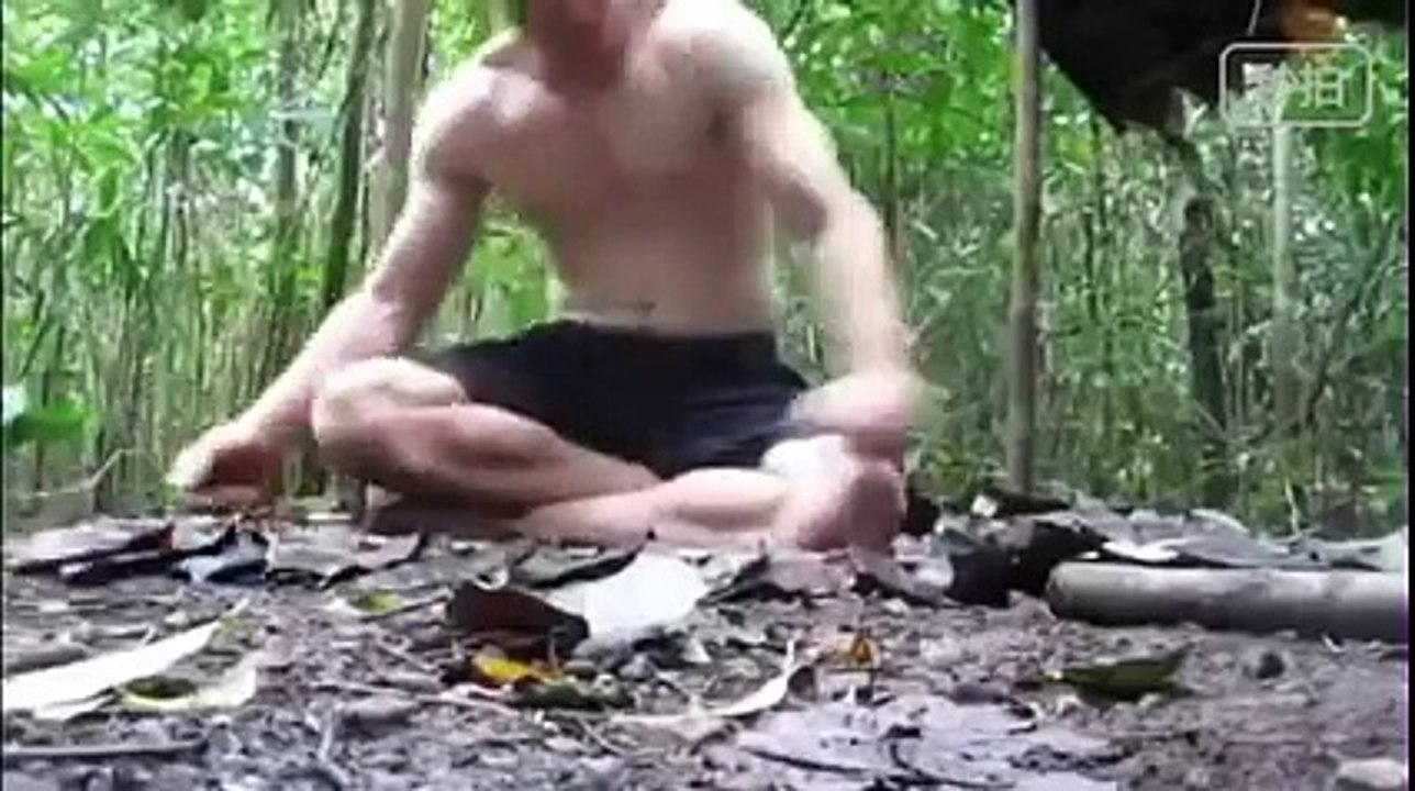 Jungle Survival