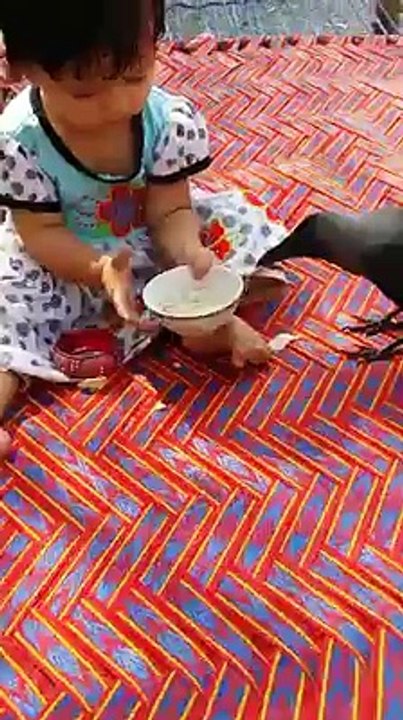Baby and Crow Eat togerther Nice friendship