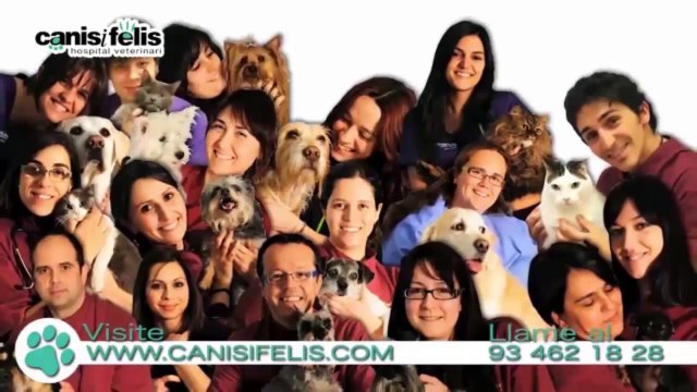 Desparasitación en perros. Especialistas en desparasitación para perros en Barcelona.