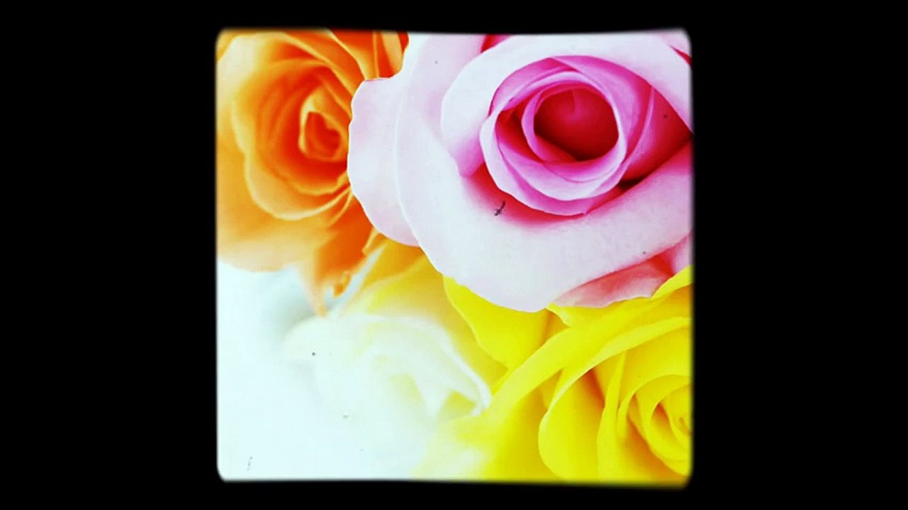 Janam janam instrumental Dilwale/Shah rukh khan & kajol