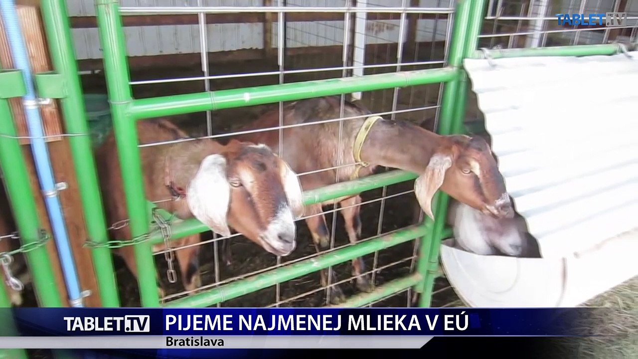 Na Slovensku vypijeme najmenej mlieka v rámci Európskej únie