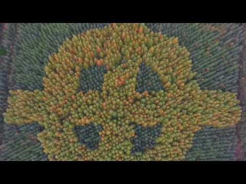 Drone Footage Captures Mysterious Celtic Cross in Irish Forest