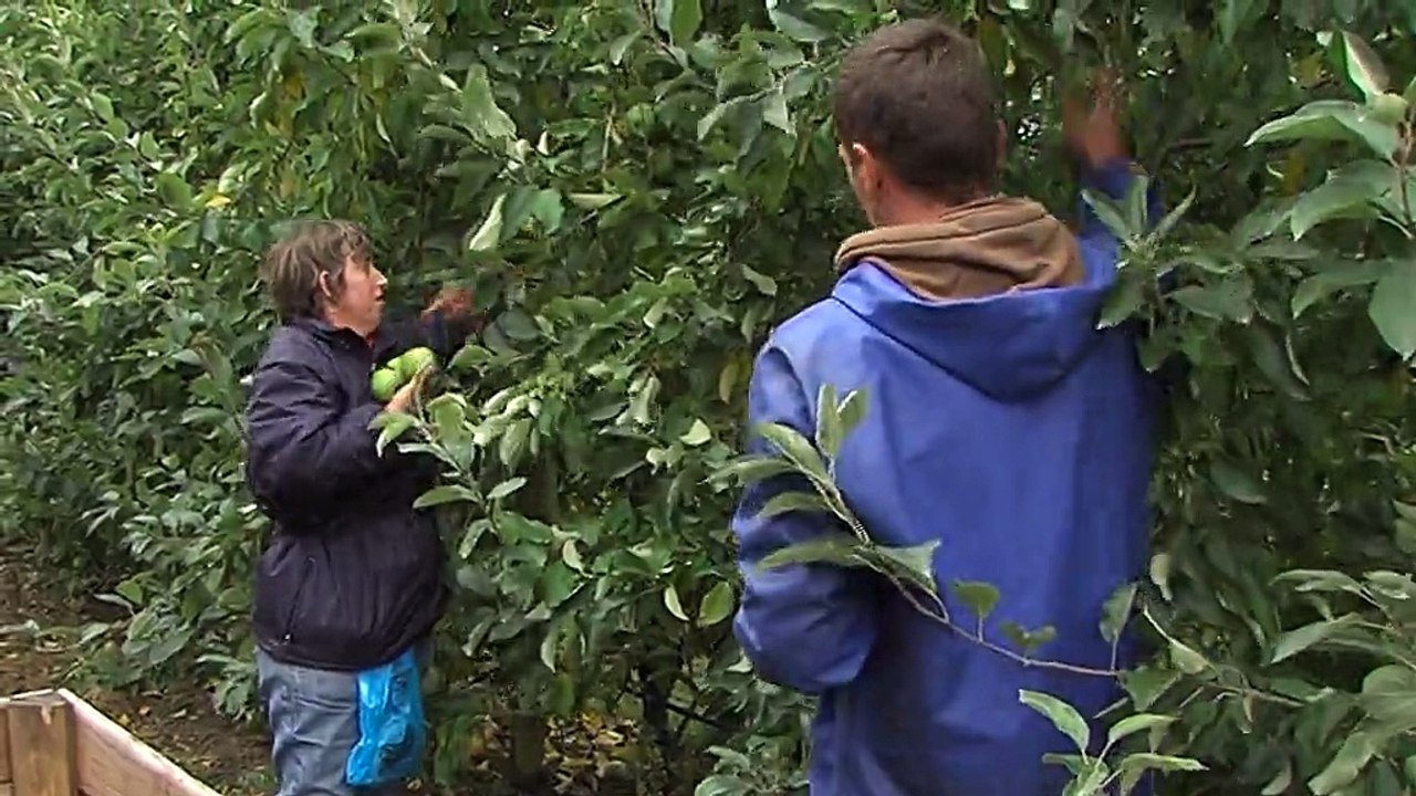 Pommes: mauvaise année en Val de Loire