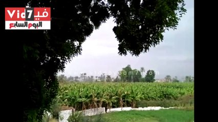 الأمطار تجتاح قنا وانقطاع التيار الكهربائى ببعض القرى