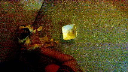 Whether It Is Male Or Female..