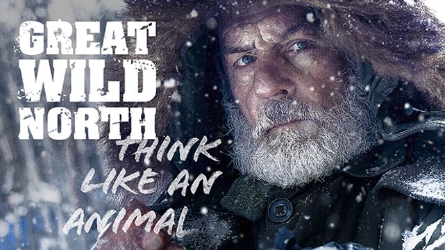 Великий дикий север 4 серия Ужасные условия (2016)