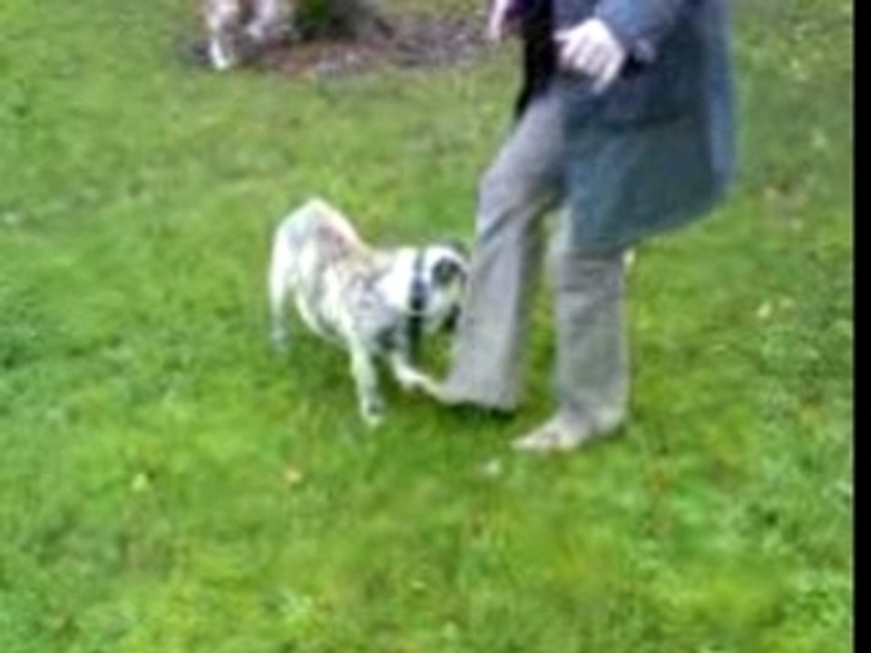 utch et baila