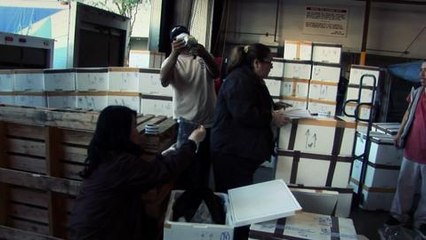 Techknow - Cracking Down on Exotic Birds promo