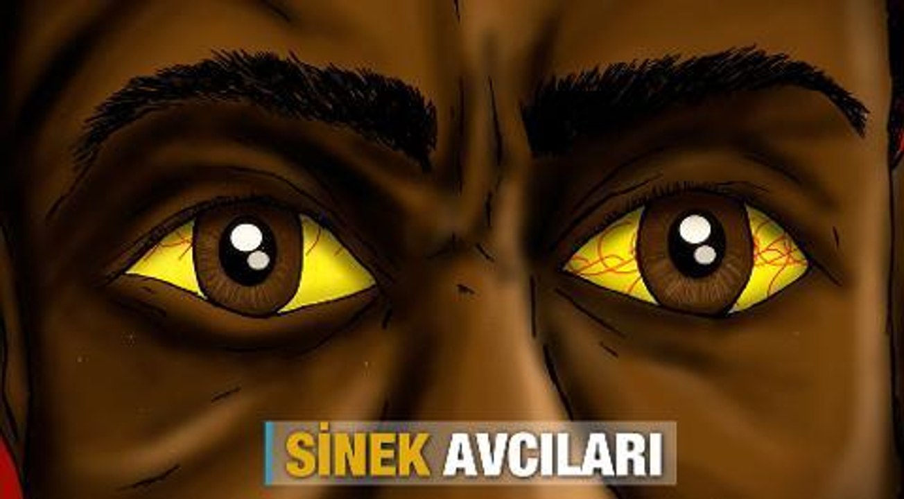 Sinek avcıları