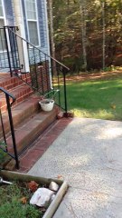 Husky can't hold back excitement upon owner's return