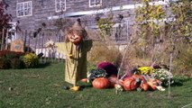 Halloween au parc animalier de Sainte-Croix : les nouveautés 2016 de la fête des six-trouilles