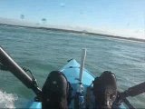 Kayak surfing in a Hobie Revo