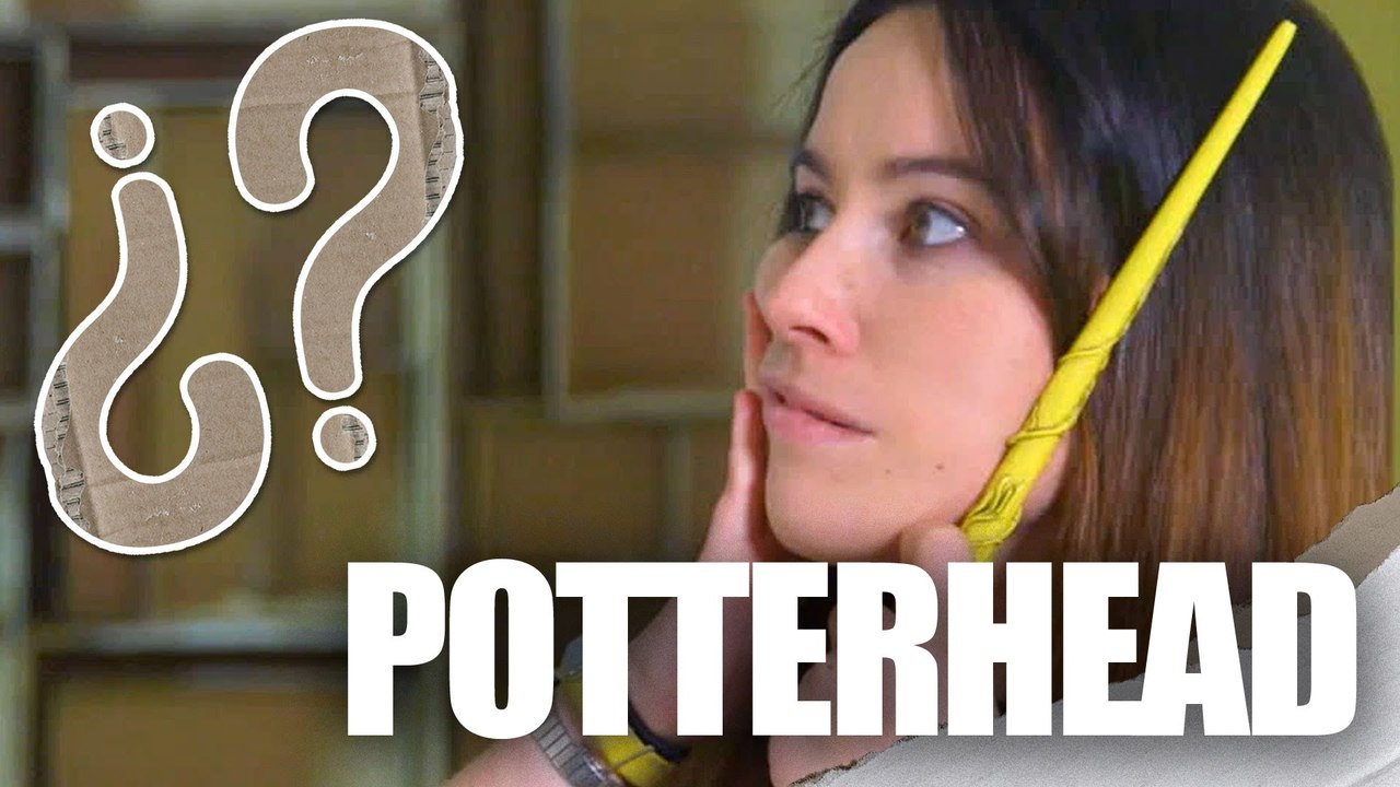 Qué significa POTTERHEAD
