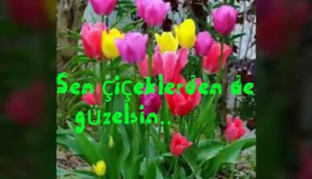 Arkadaşımın Benim İçin Doğum Günü Hediyesidir tşkLer⊰❀⊱GüLbiye♥Orhan⊰❀⊱