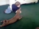 Otro Perro Imitando A Bebe Gateando! â˜… bebes divertidos   risa bebe   bebe humor   bebes chistosos