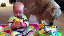 Perro Y Bebe Comparten Juguetes! â˜… bebes divertidos   risa bebe   bebe humor   bebes chistosos