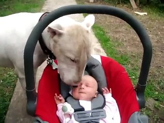 Que Lenguetazos!!! â˜… bebes divertidos   risa bebe   bebe humor   bebes chistosos