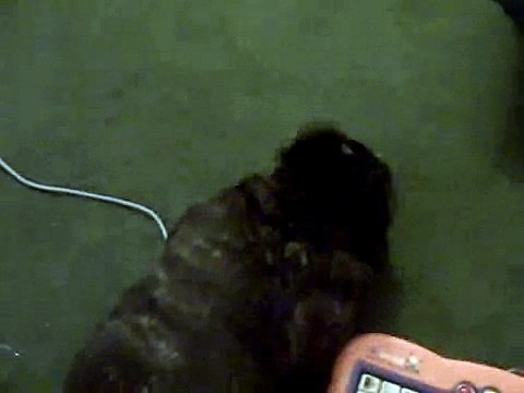 Seguiras Adorando A Tu Hijo Despues De Eso â˜… bebes divertidos risa bebe bebe humor