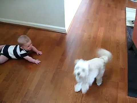 Baila El Perro Y Se RÃ­e El Bebe! â˜… bebes divertidos risa bebe bebe humor bebes chistosos