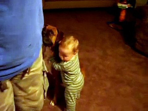 Bebe ADORA Su Perro!! SUPER TIERNO â˜… bebes divertidos risa bebe bebes chistosos bebe humor