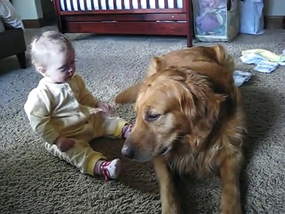 Bebe Descubre A Su Perro, SUPER TIERNO â˜… bebes divertidos   risa bebe   bebes chistosos   bebe humor